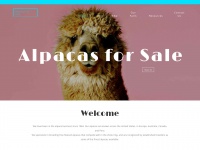 alpacas-4-sale.com Thumbnail