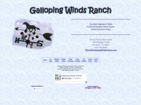 gallopingwindsranch.com