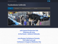 taubenheimgelbvieh.com