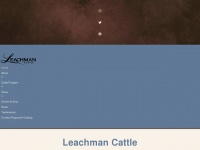leachman.com Thumbnail