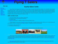 flyingtsalers.com Thumbnail