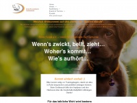 buntehunde.org Thumbnail