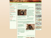 vogelspinnen.info