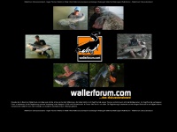 wallerforum.com Thumbnail