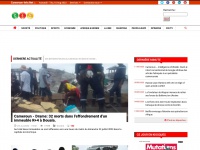 Cameroon-info.net