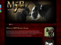 mjbminiaturedonkeys.com