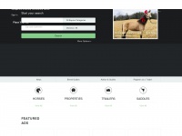 horseclicks.com