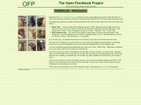 Openflockbook.com