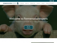 fermentationexperts.com Thumbnail