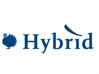 hybridturkeys.com