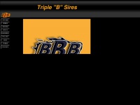 triplebsires.com Thumbnail