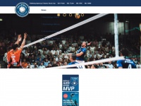 volleyball-bundesliga.de Thumbnail
