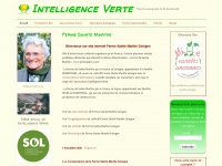 intelligenceverte.org Thumbnail