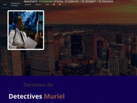detectivesmuriel.com