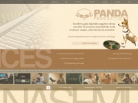 pandaproductionsofnashville.com