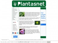 plantasnet.com Thumbnail