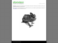 ekameleon.com