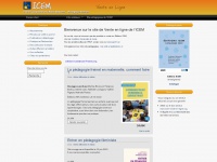 Icem-vente-en-ligne.org