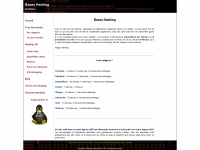 bases-hacking.org Thumbnail