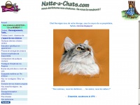 natte-a-chats.com Thumbnail