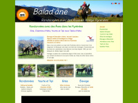 baladane.com