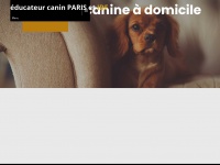 educateur-canin-paris.com Thumbnail