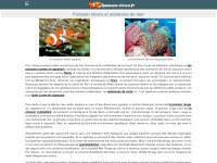 anemone-clown.fr Thumbnail