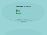 hippocampus-info.com Thumbnail