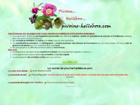 Pivoine-hellebore.com
