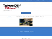 taekwondovilleneuve.com Thumbnail