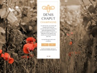 Champagne-denischaput.com