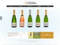 Champagne-delagarde-delozanne.fr