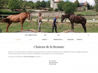 Equitationnaturelle.com