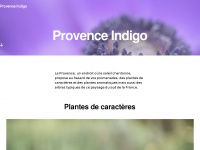 Provence-indigo.com