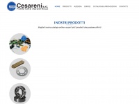 Cesarenisrl.com