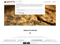 Georicerche.com