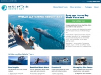 whalewatchingherveybay.com.au Thumbnail