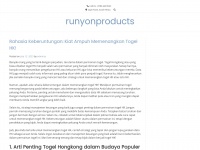 runyonproducts.com Thumbnail