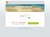 lowerbackpains.co