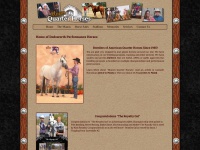 mannsquarterhorses.com Thumbnail