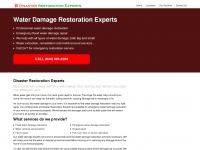 disasterrestorationexperts.com Thumbnail