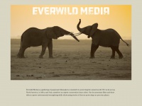 Everwildmedia.com