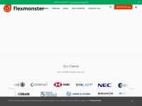 flexmonster.com