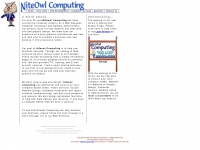 niteowlcomputing.com