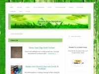 greenecoservices.com Thumbnail