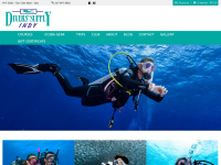 diverssupplyindy.com Thumbnail
