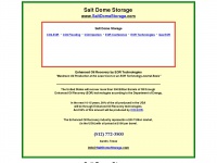 saltdomestorage.com Thumbnail
