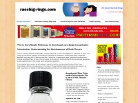raschig-rings.com