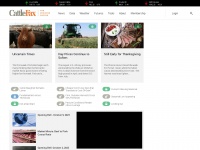 cattlefax.com Thumbnail