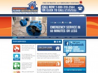 emergencyfloodrestore.com Thumbnail